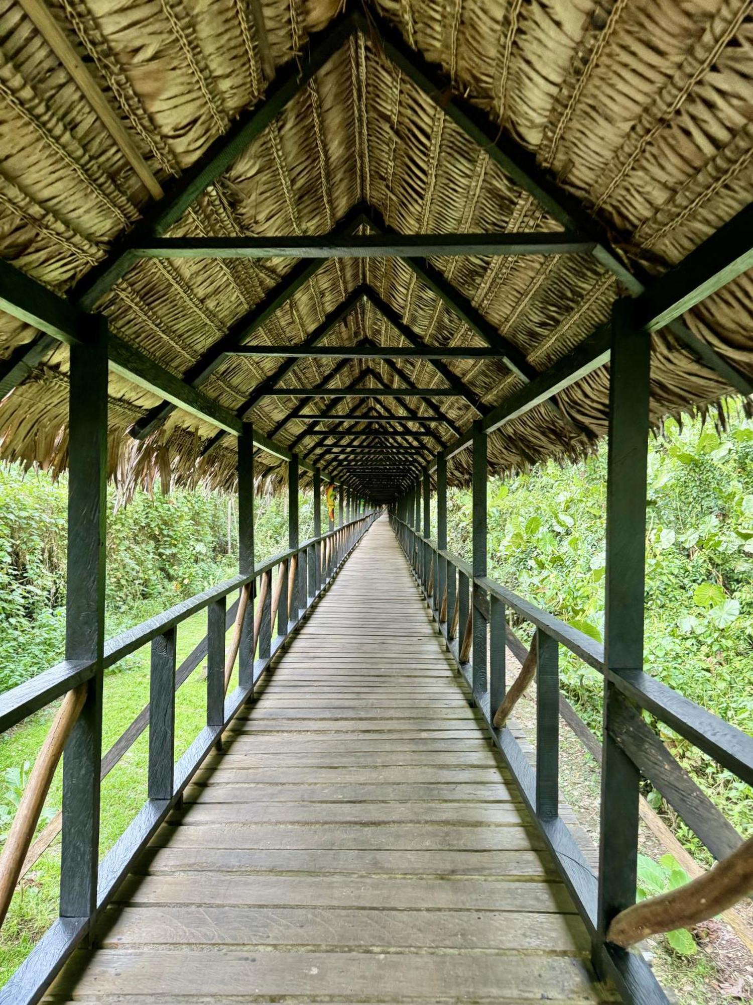Biohotel Arara River ليتيسيا المظهر الخارجي الصورة